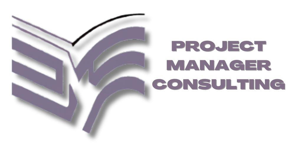 Project Manager Consulting
