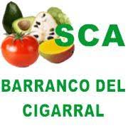 Barranco El Cigarral SCA