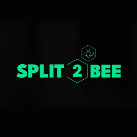 split 2 bee